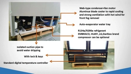 R290 porta de vidro dupla vertical vitrine refrigerada bebidas e bebidas refrigerador porta de vidro merchandiser